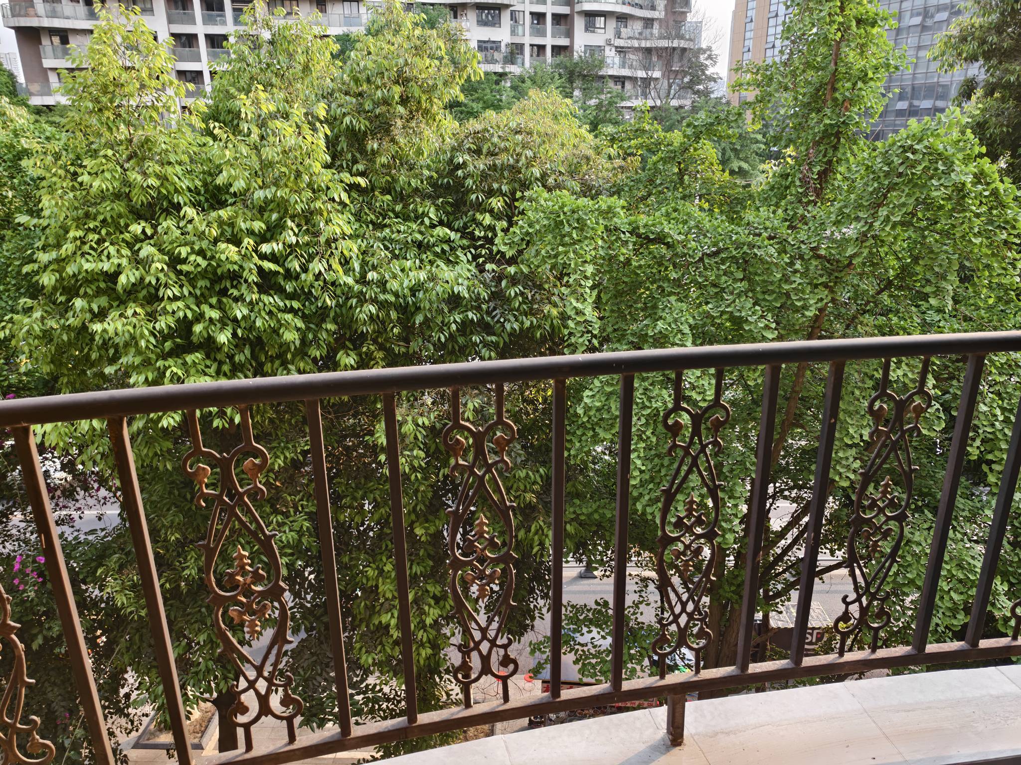 Chengdu Shuangliu | 华楠半岛_3
