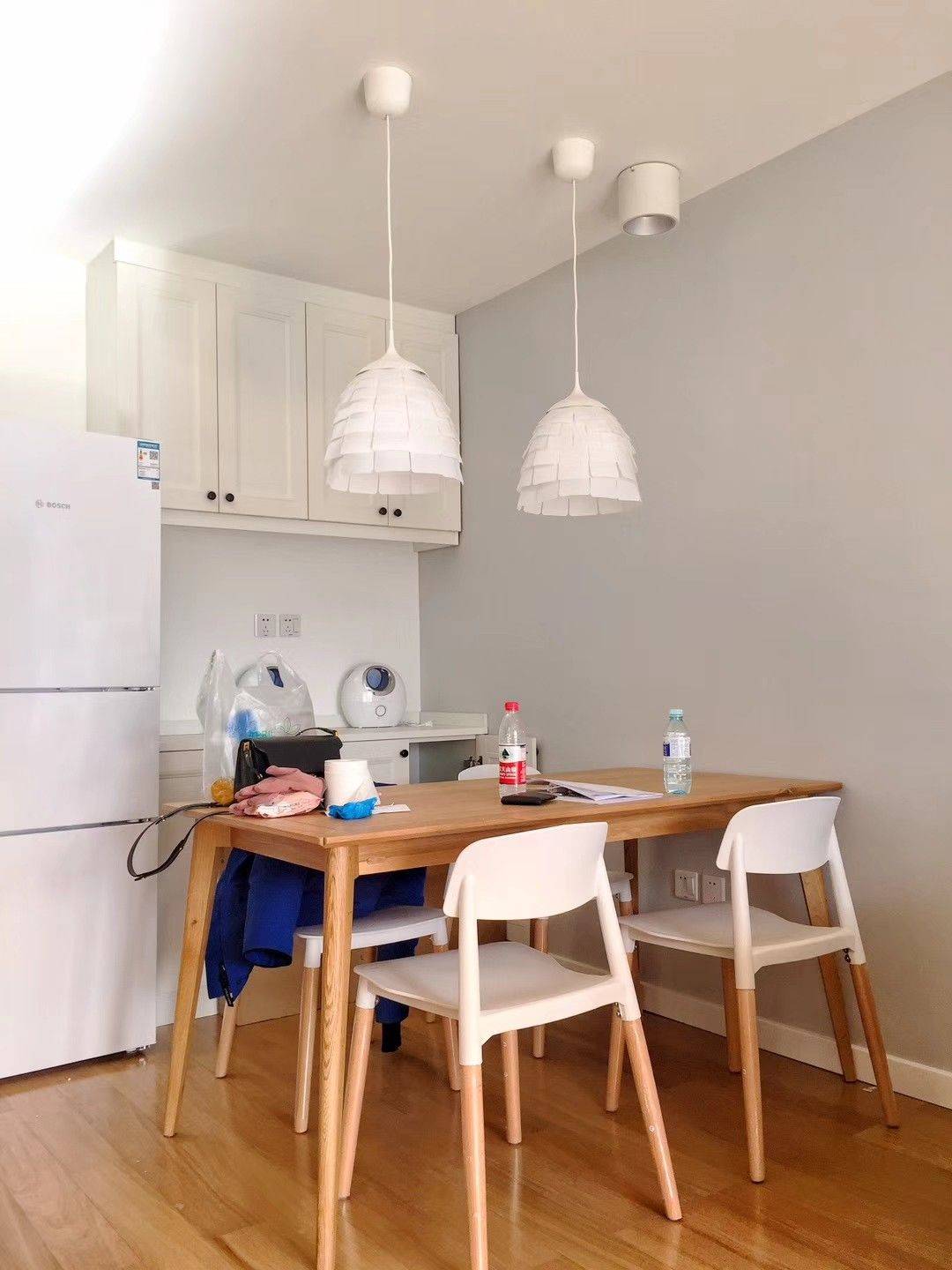 皮卡丘整租房源3