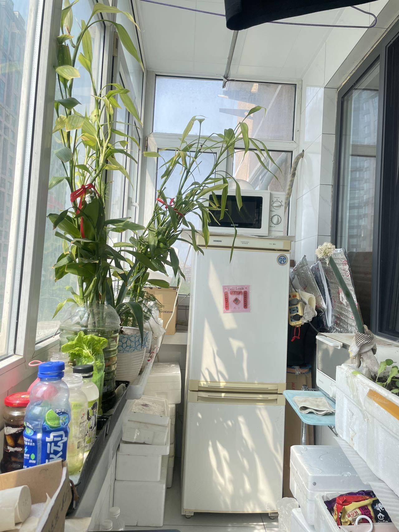 北京 朝阳 | 团结湖南里_2