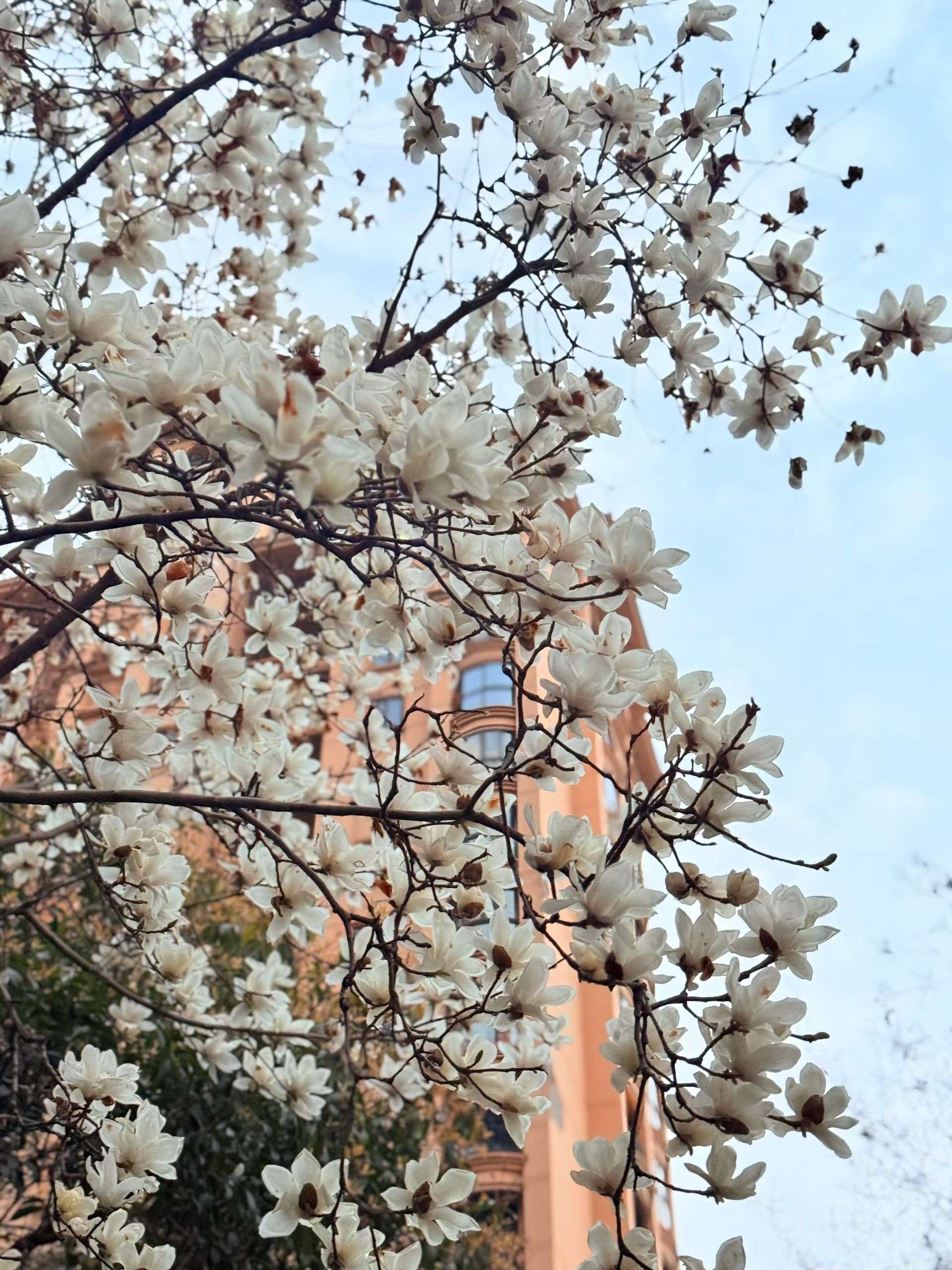 杭州 萧山 | 华瑞·晴庐_3