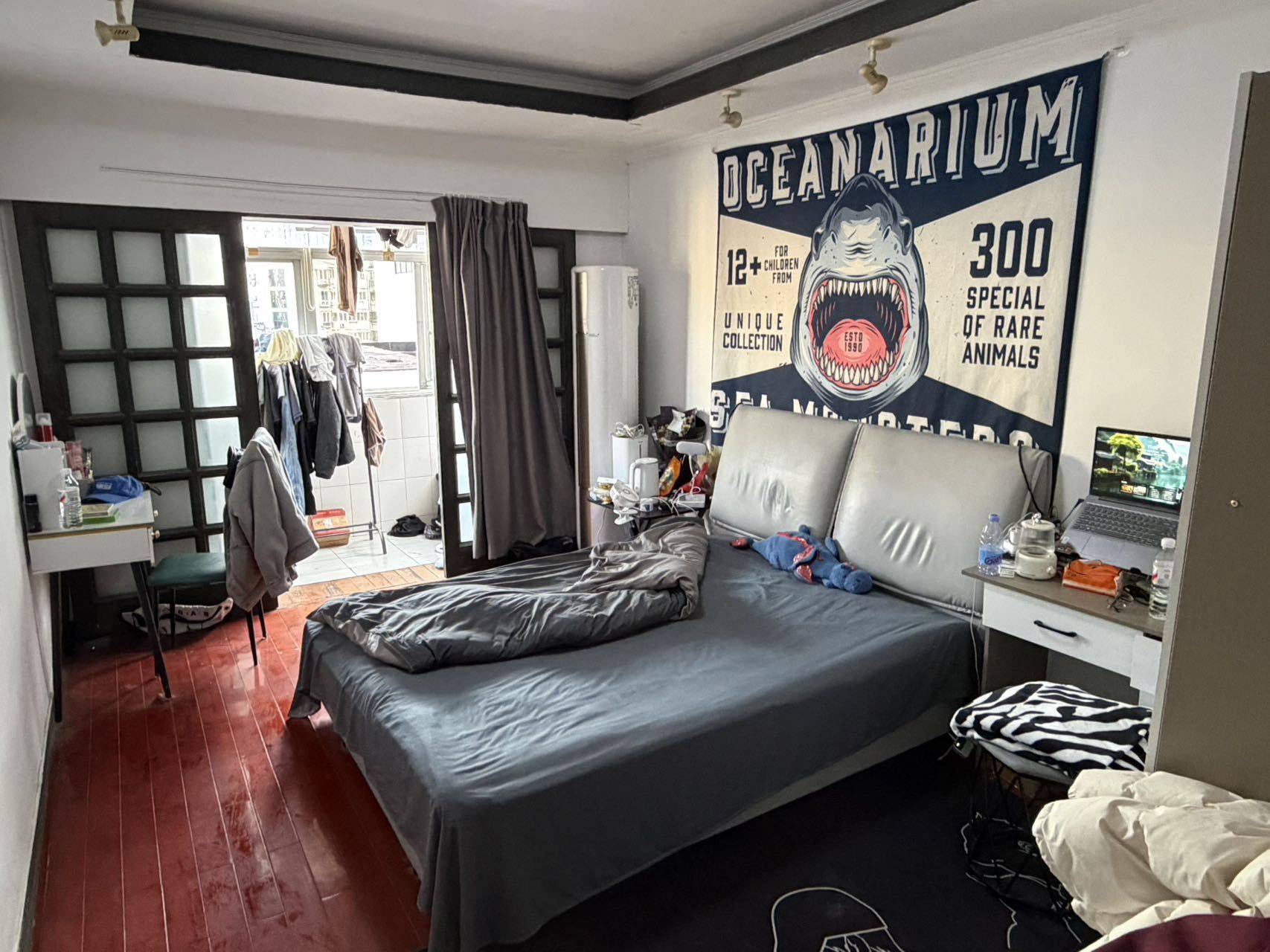 温馨小窝-干净治愈-不限性别-市井烟火气-老友记-慢时光-LGBTQ友好-宠物友好