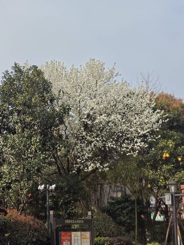 杭州 萧山 | 名望府_4
