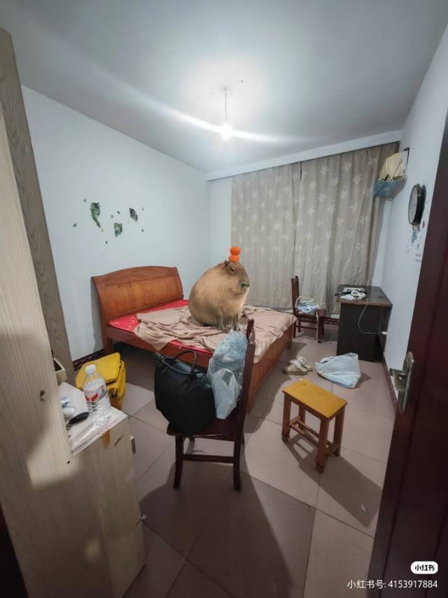 hbb整租房源2