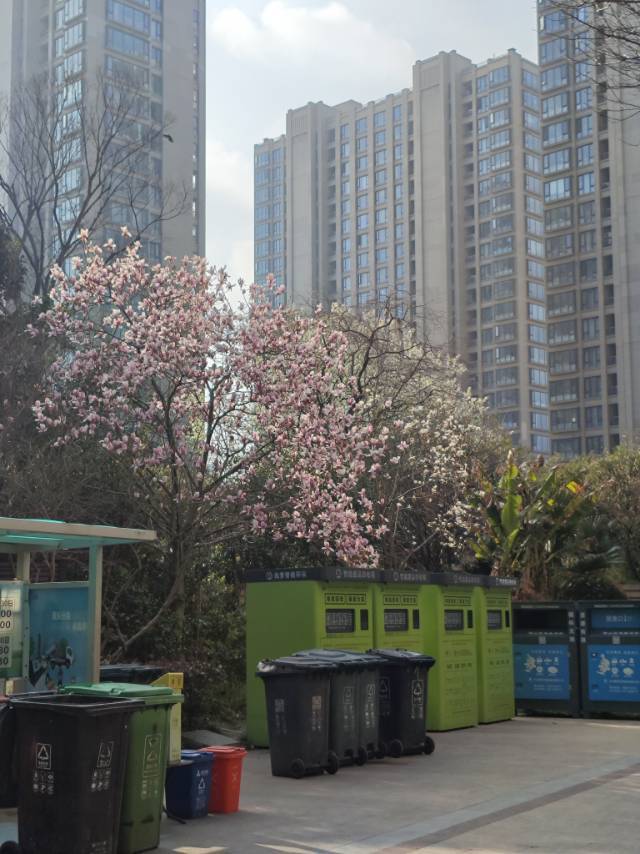 杭州 萧山 | 名望府_3