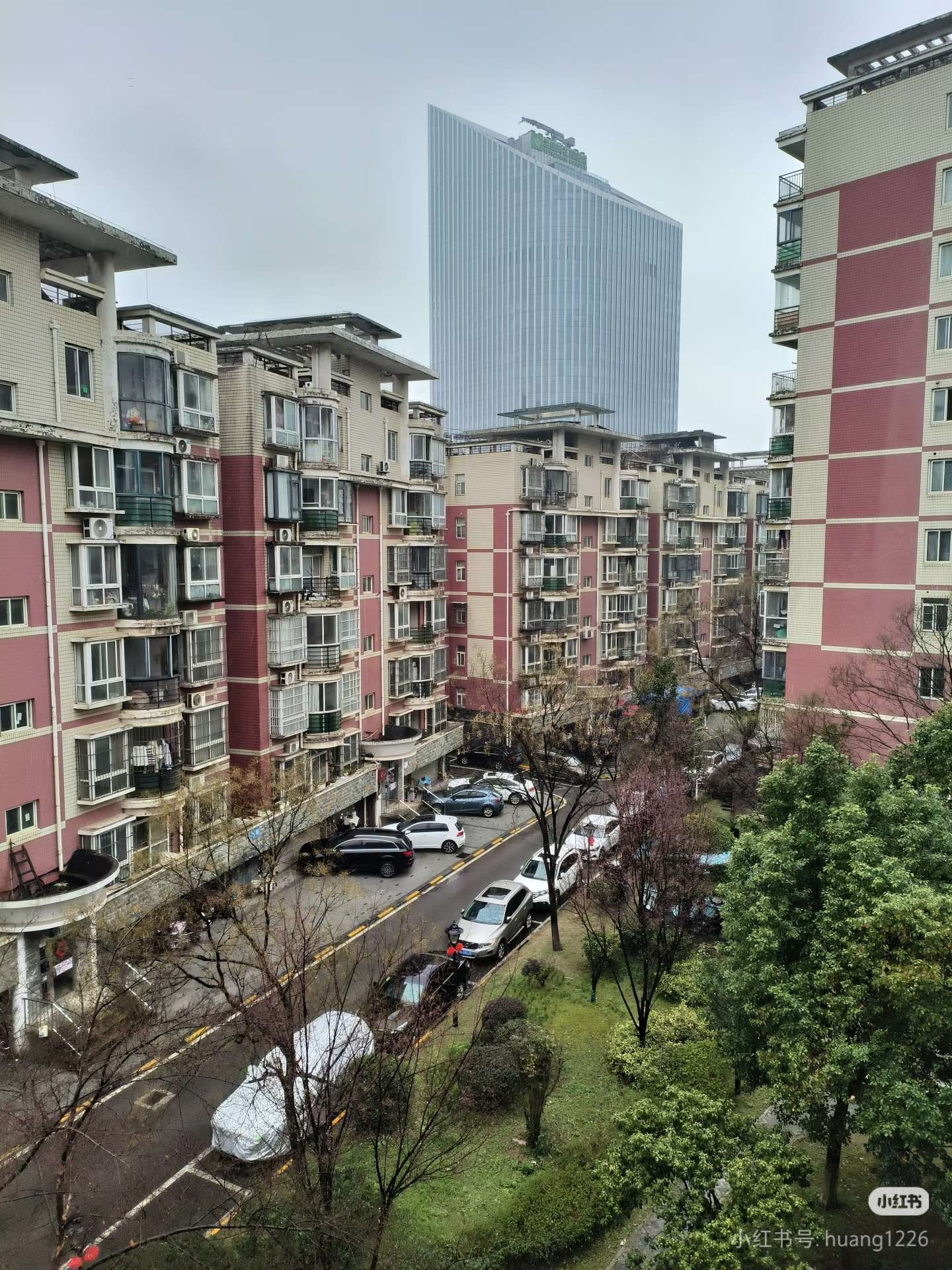 武汉 洪山 | 光谷陆景苑-6栋_3