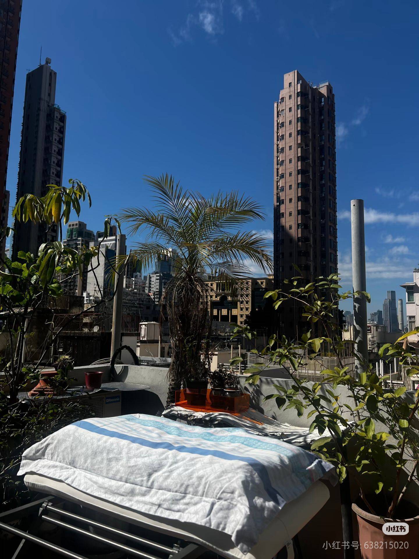 Hong Kong Island 积信楼