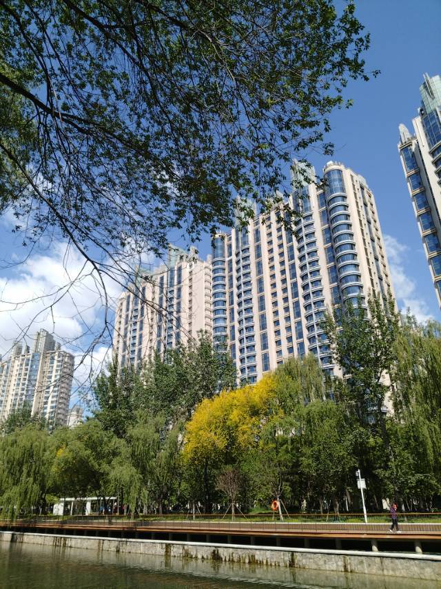 北京 朝阳 | 望京西园-二区_4
