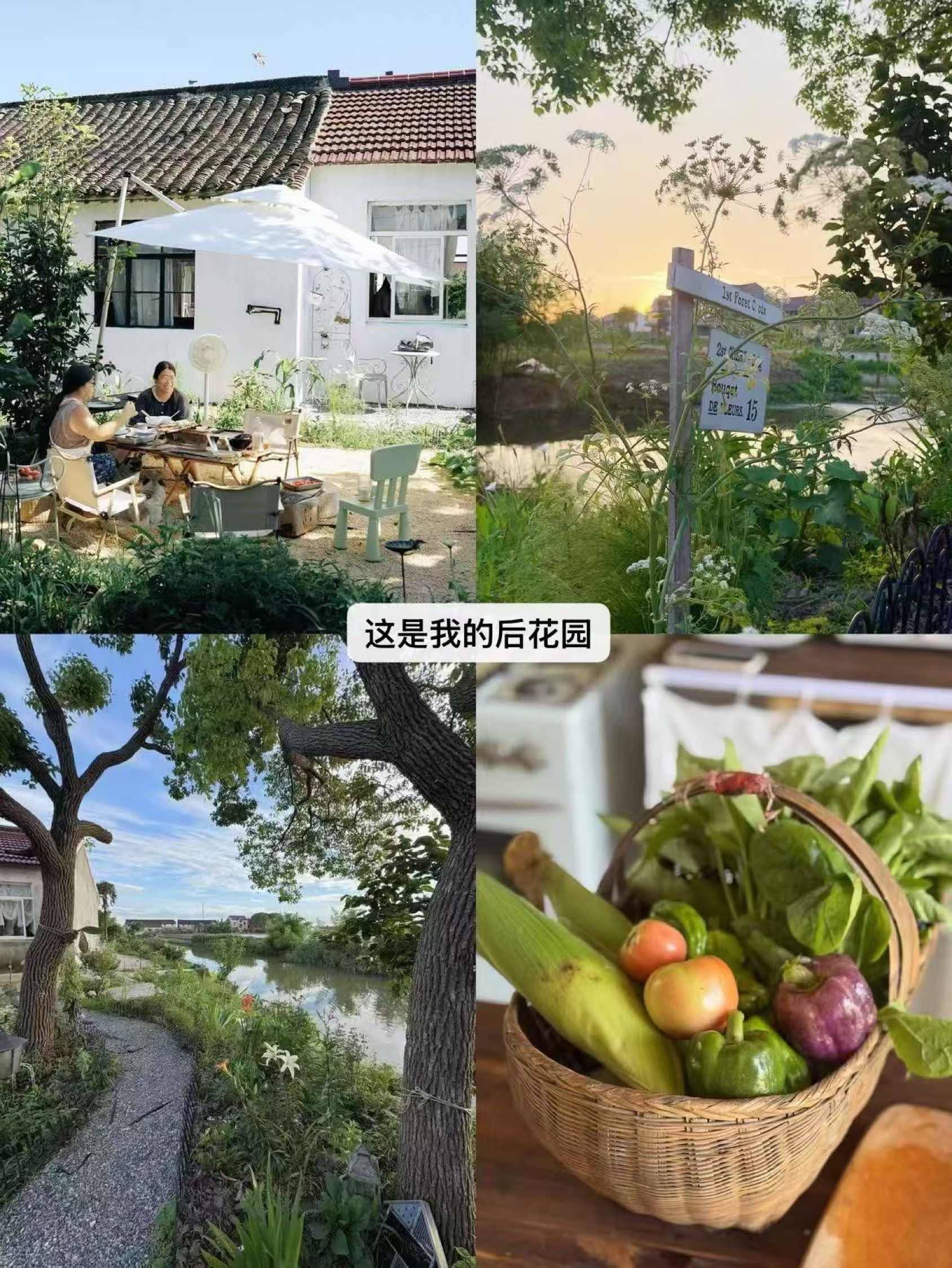 Fengxian 红旗路-12弄3号楼