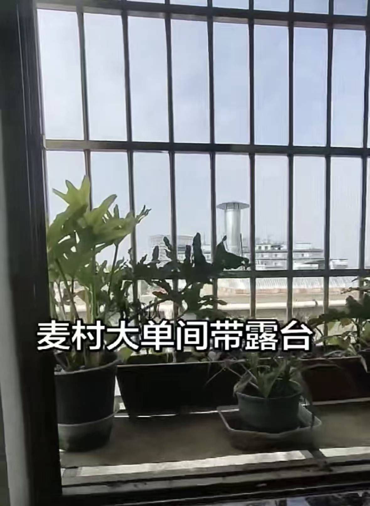 广州 荔湾 | 麦村_3