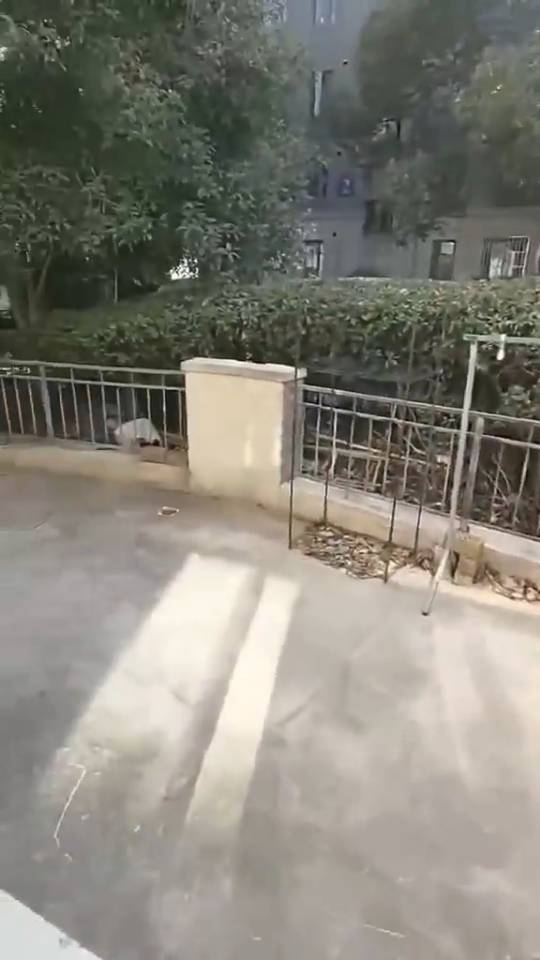 121整租房源3