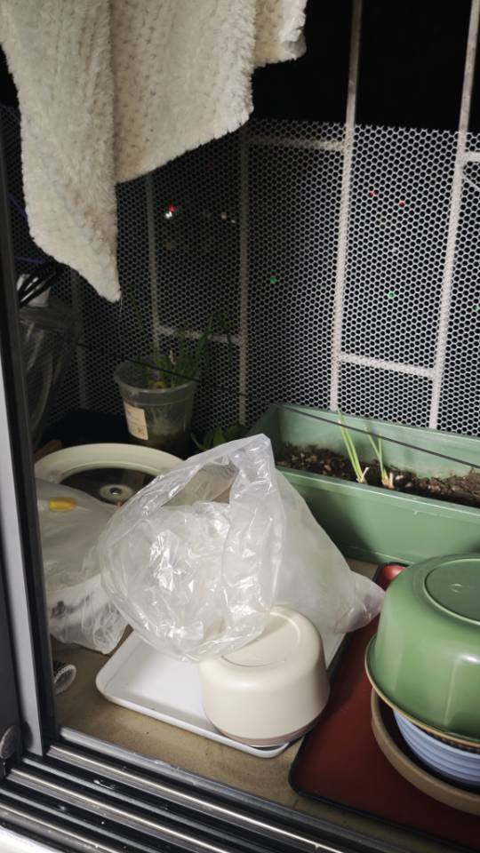 深圳 罗湖 | 龙屋_4