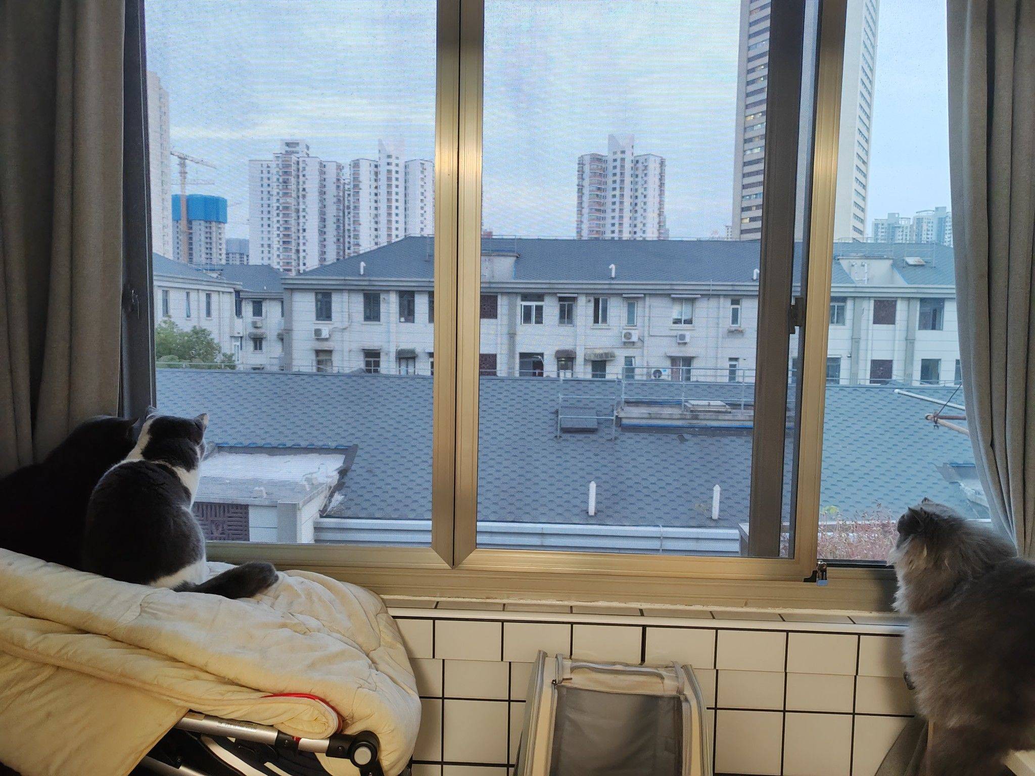 上海 普陀 | 绿叶小区_5