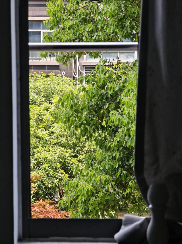 飞翔的企鹅整租房源3