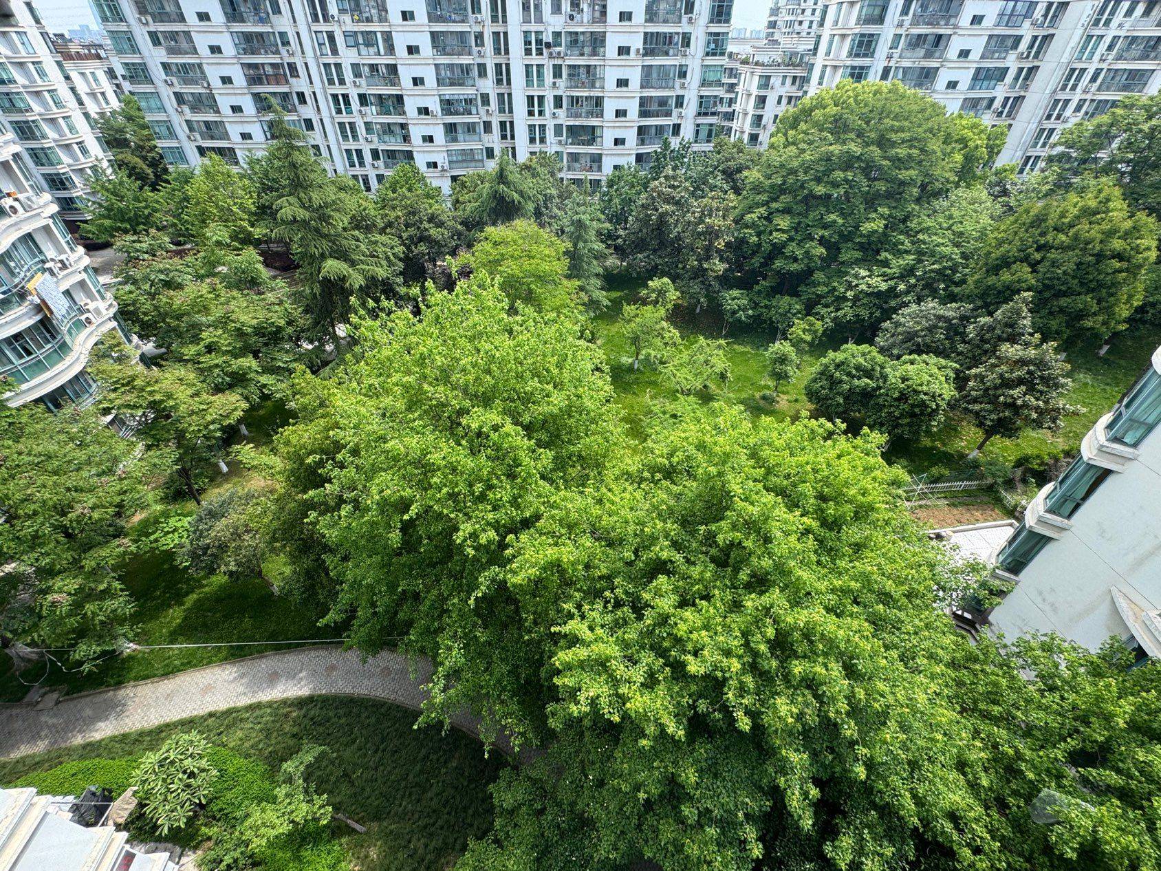 Xiangcheng 香城花园-1区