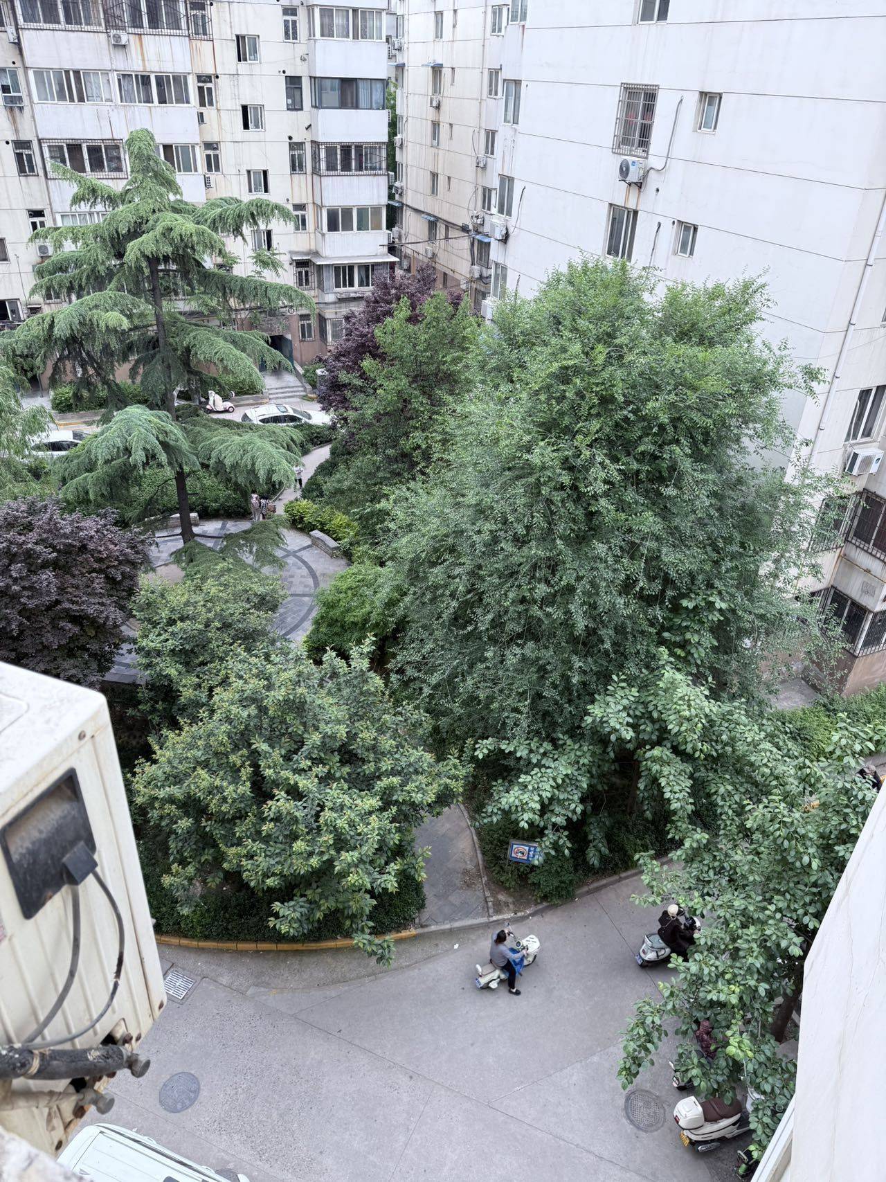 西安 碑林 | 柿园坊小区-东区_7
