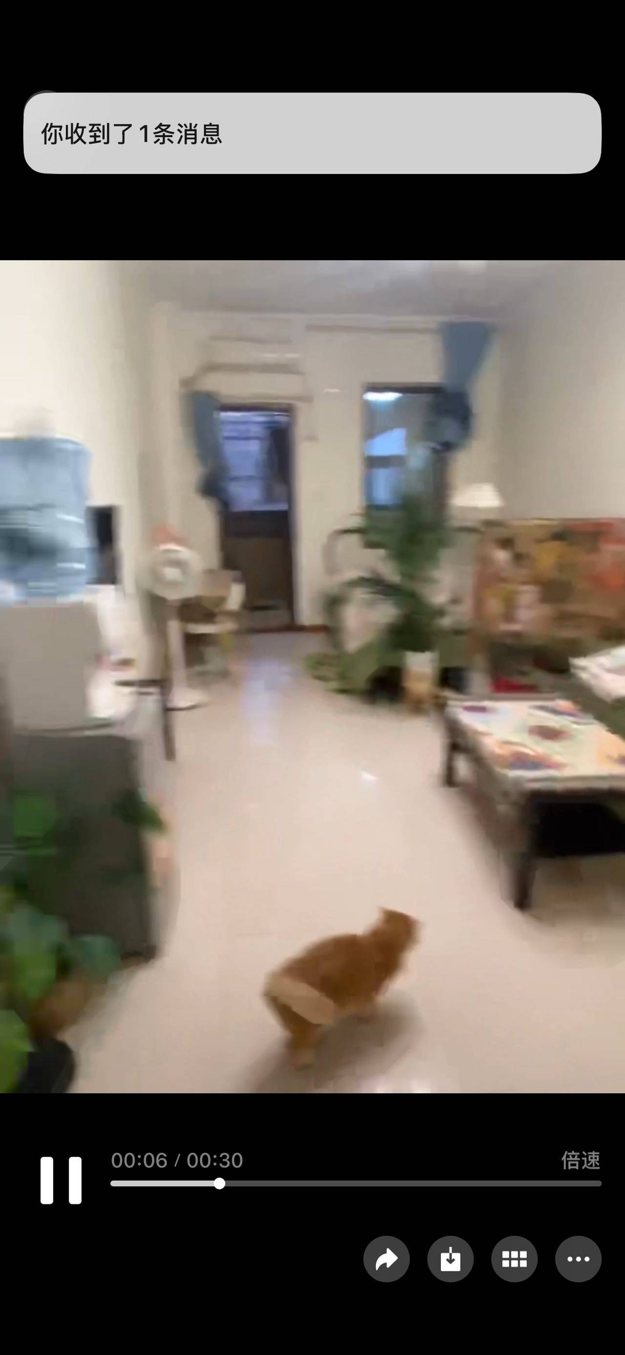 123****整租房源1