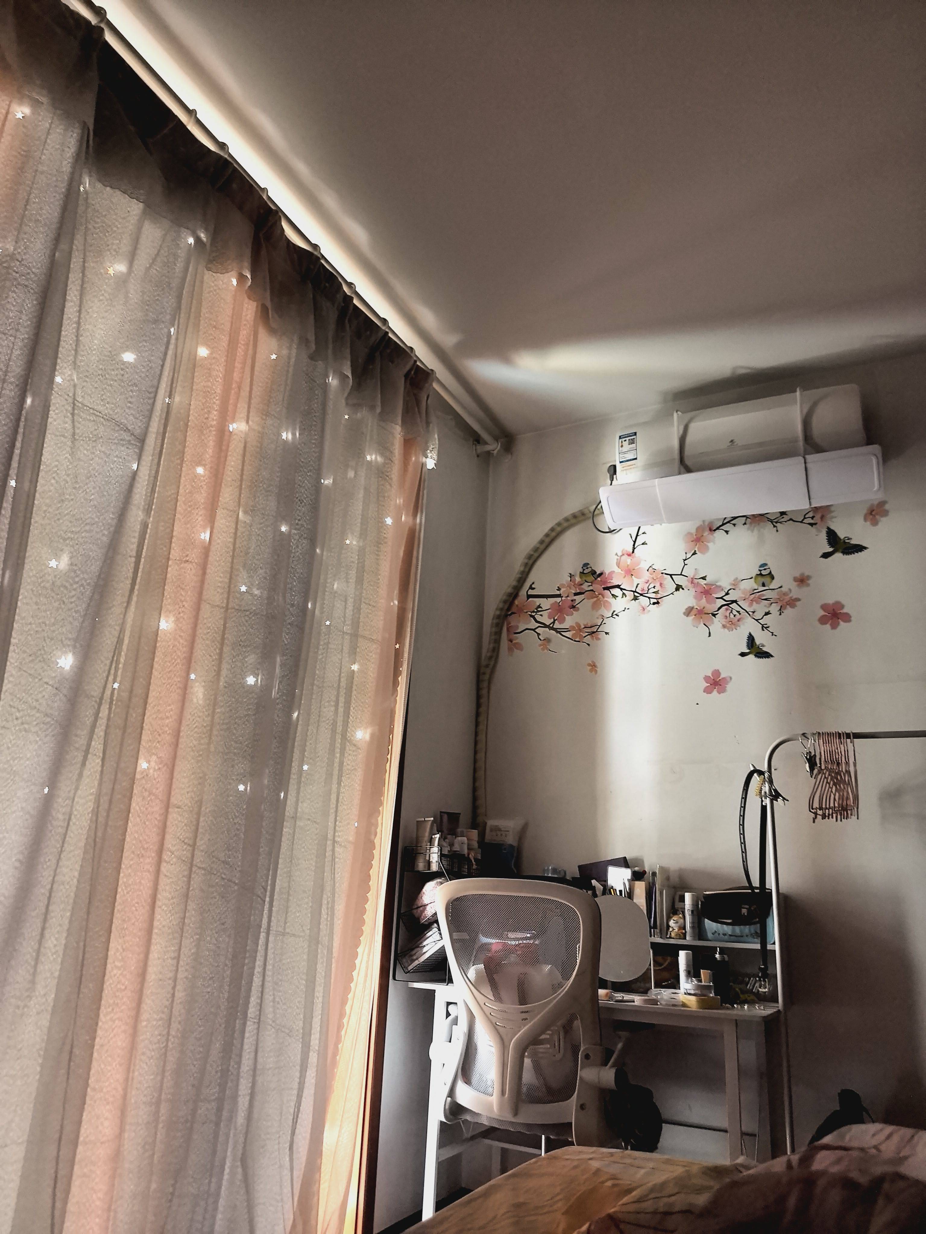 温馨小窝-干净治愈-宠物友好