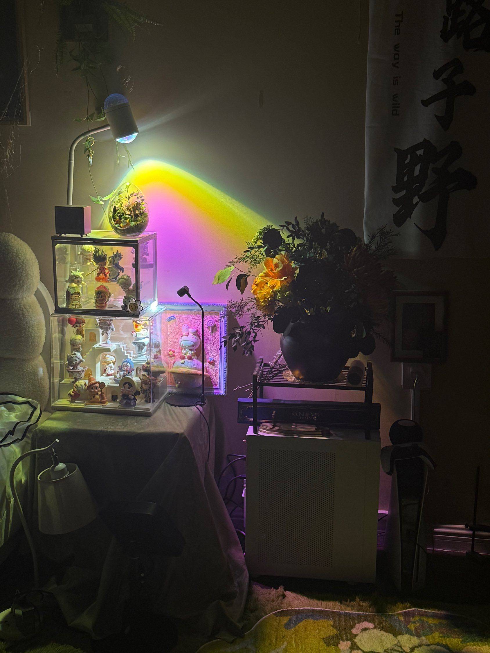 上海 闵行 | 南洋博仕欣居社区_5