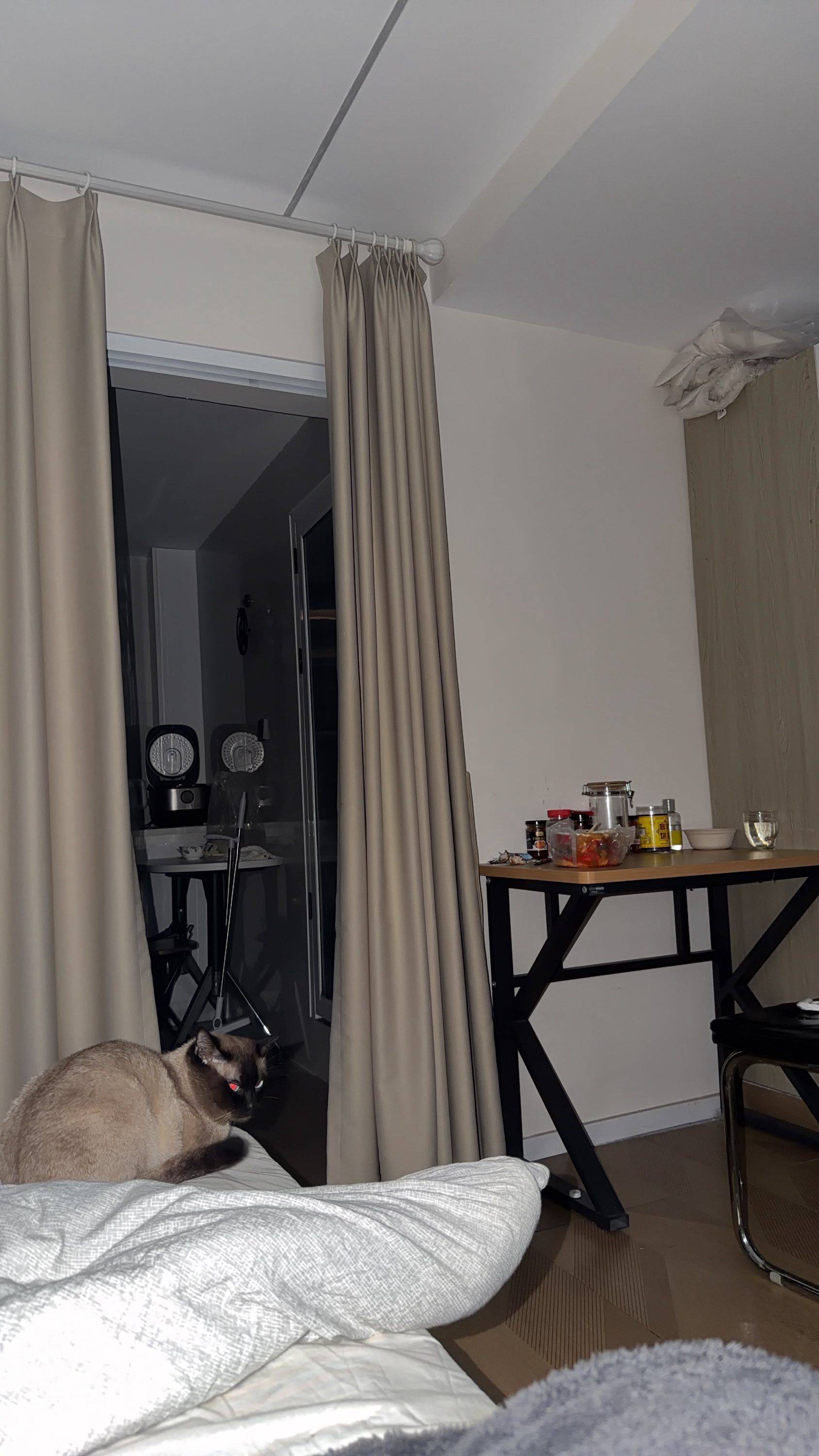 Cozy Home-Clean&Comfy-No Gender Limit-Hustle & Bustle-“Friends”-Chilled-Pet Friendly