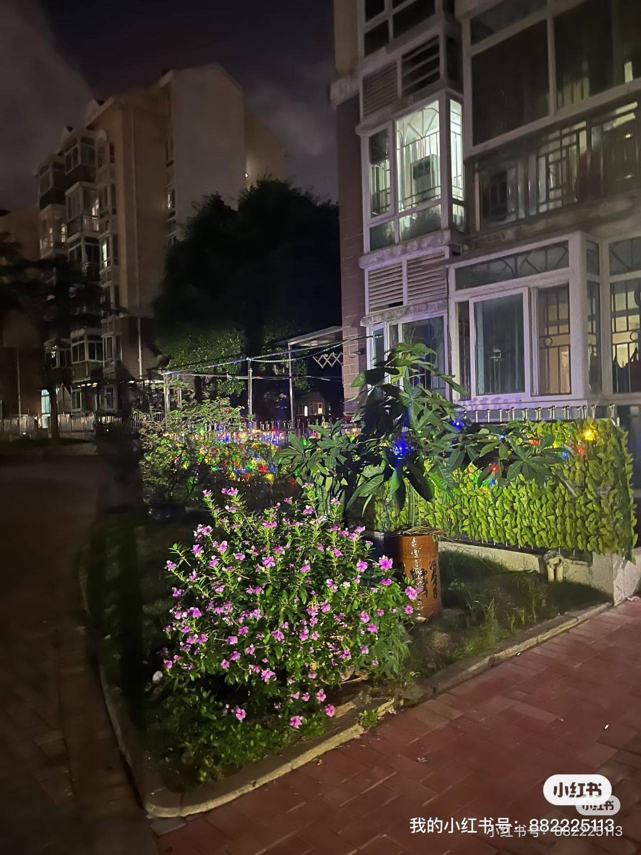 深圳 宝安 | 桃源居_3