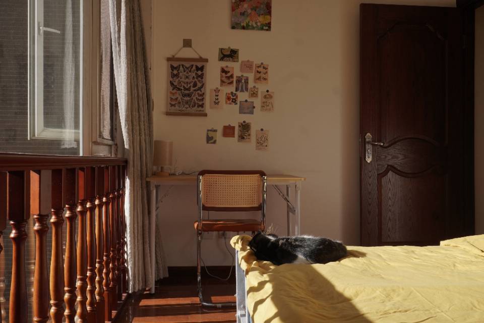 盘龙 金色交响家园