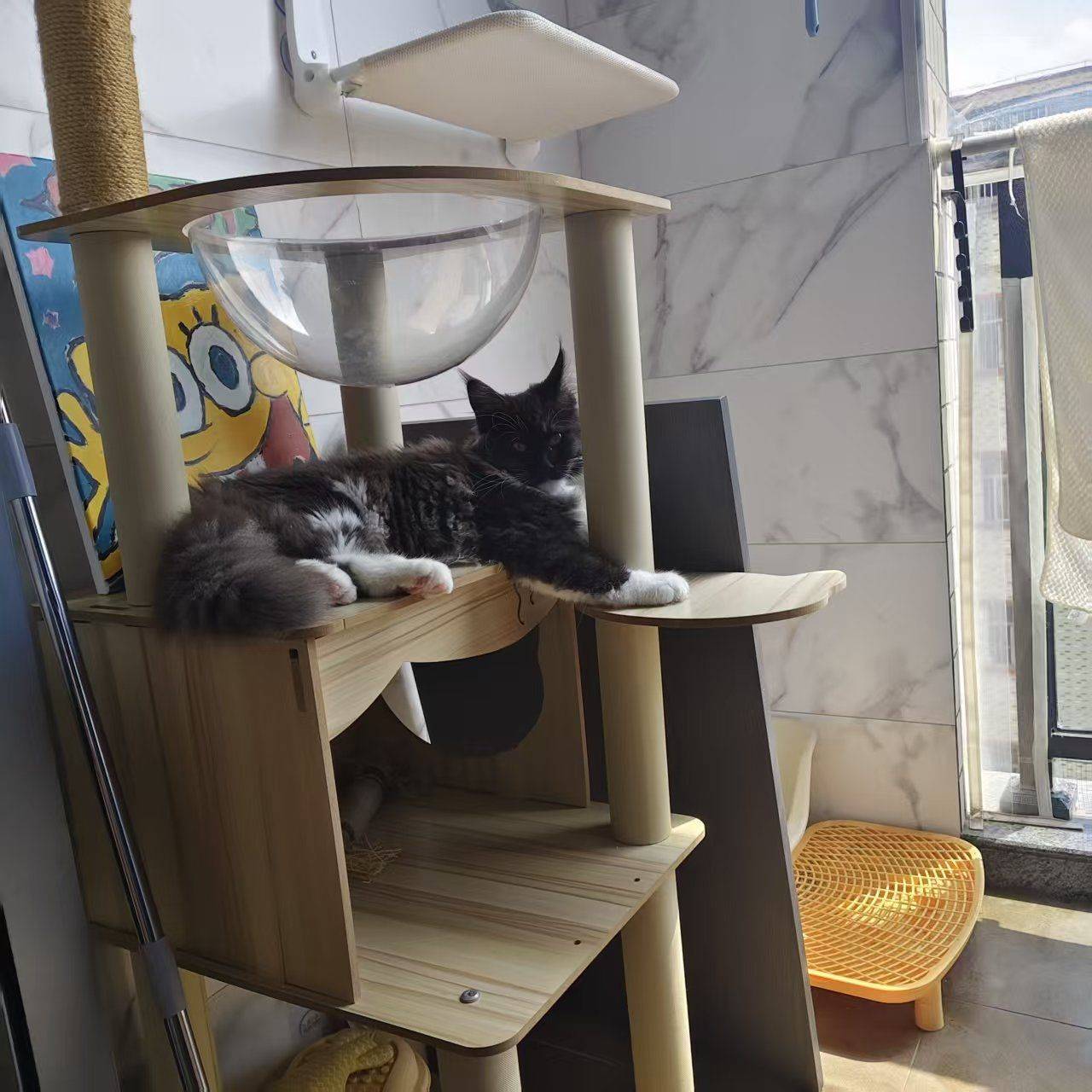 东莞 石碣 | 伟昌楼_3