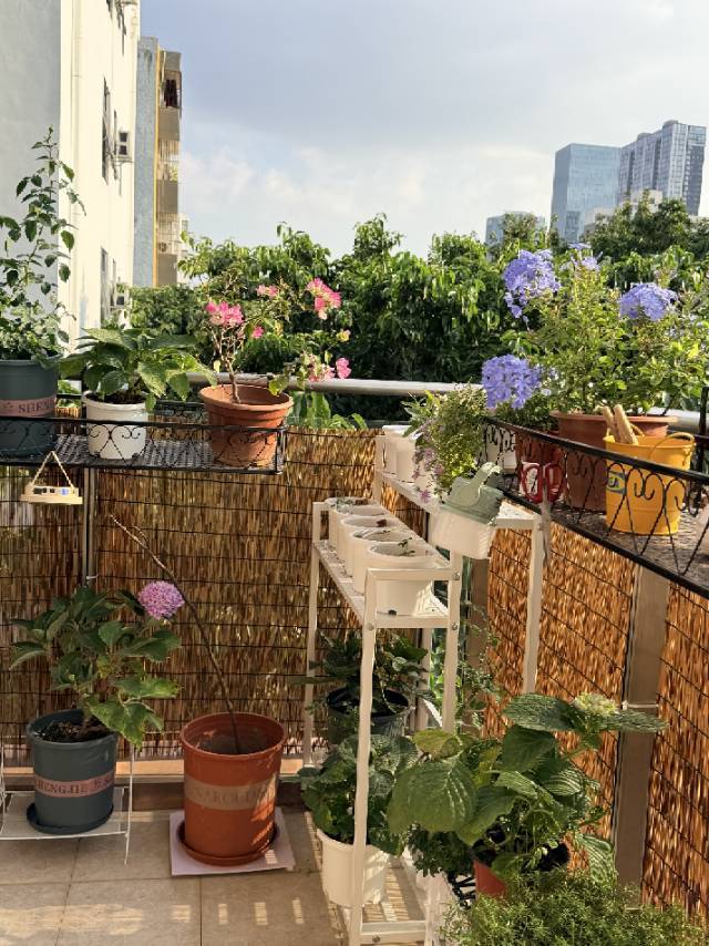 深圳 宝安 | 上合社区-瓦窑花园_7