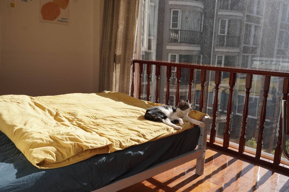 盘龙 金色交响家园