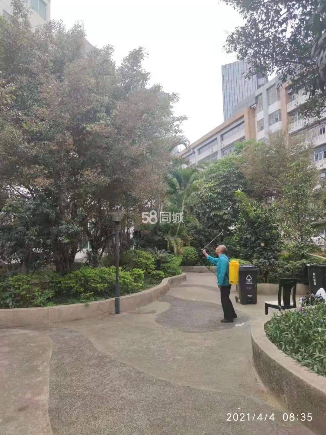 深圳 南山 | 龙佳园_6