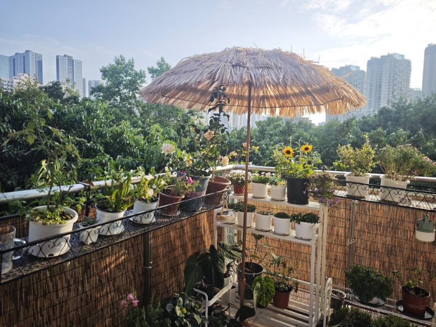 深圳 宝安 | 上合社区-瓦窑花园_6