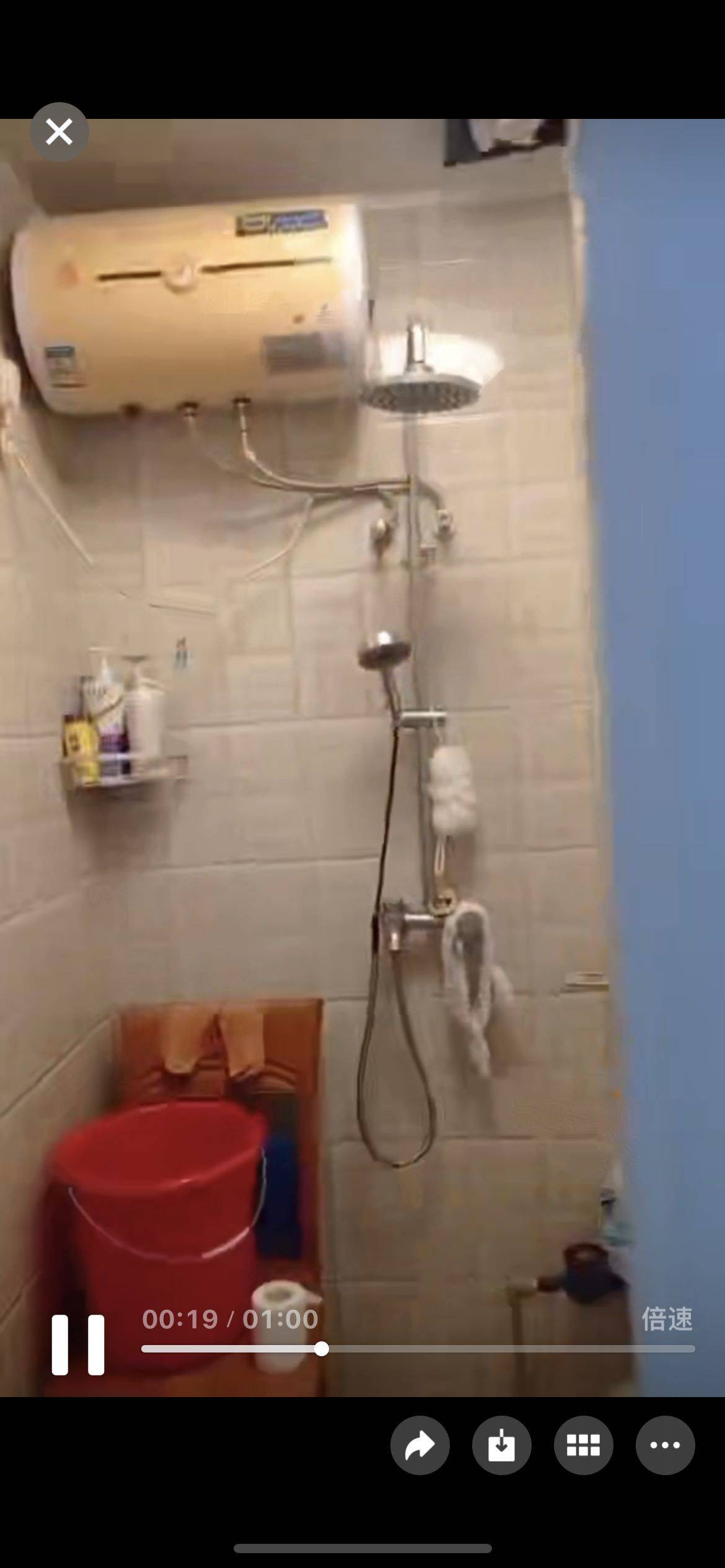 六棵树整租房源2