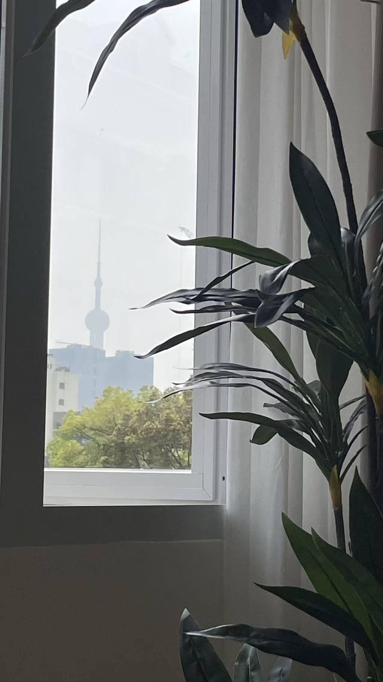 Shanghai Yangpu | 吴家浜小区_6