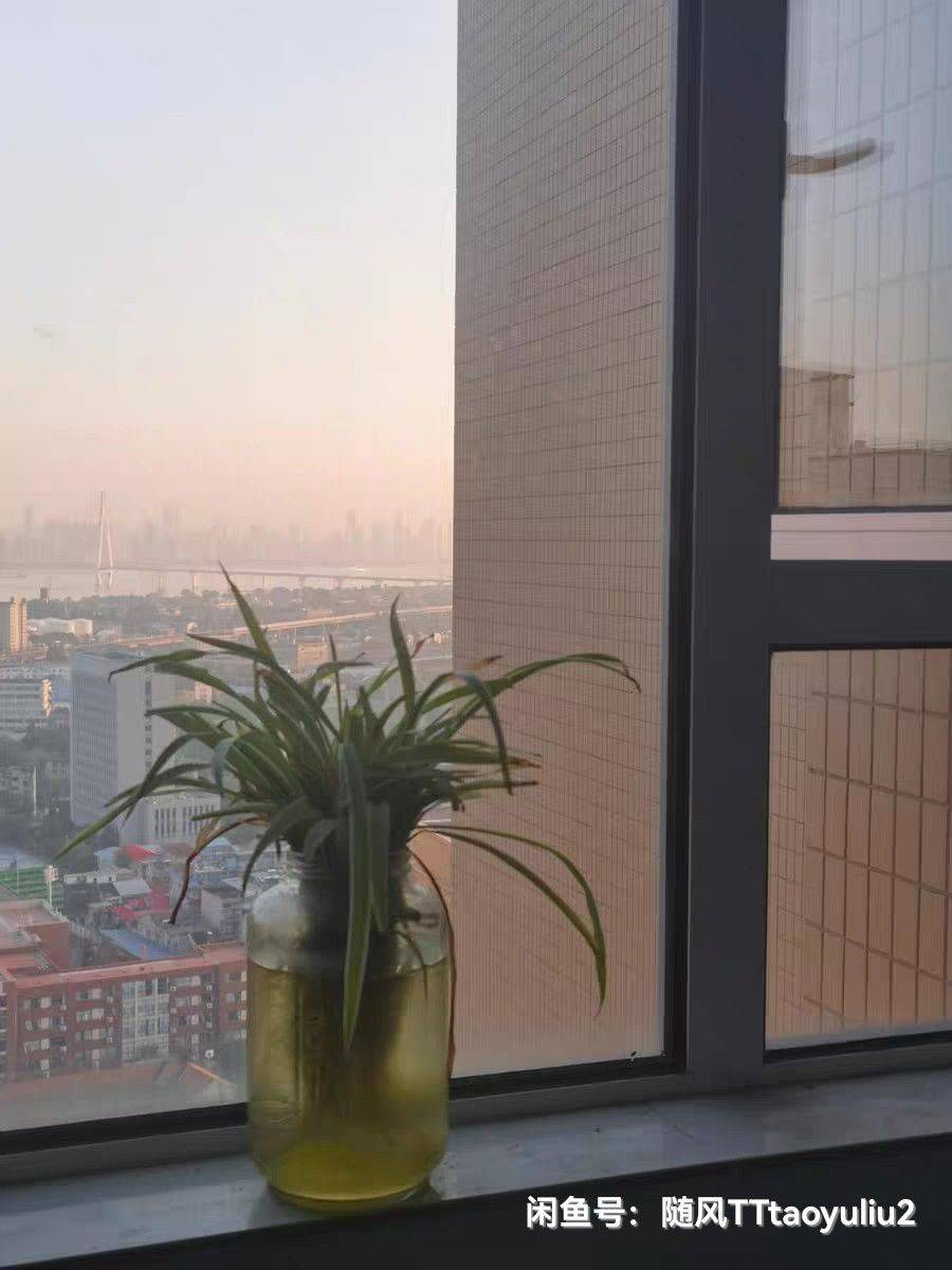 nn整租房源1