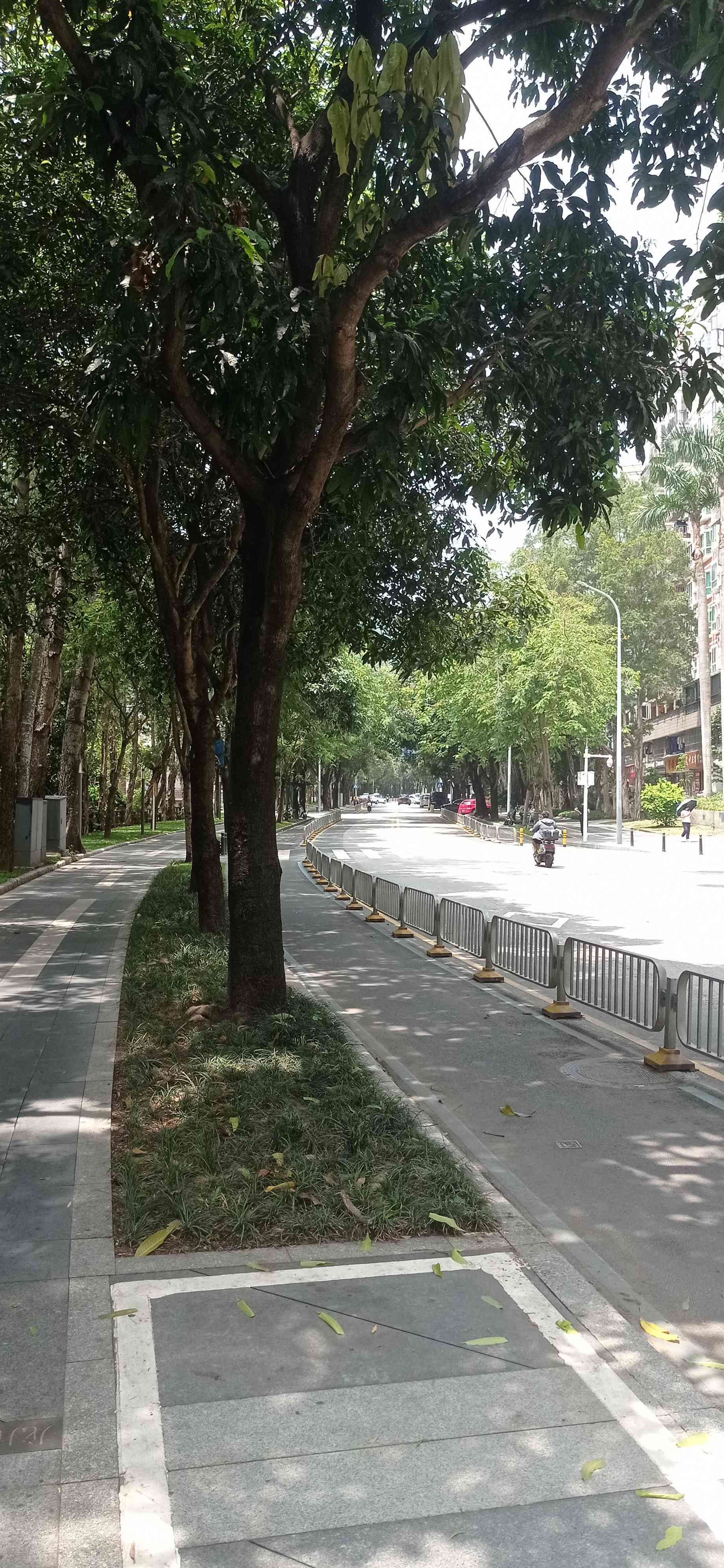 深圳 福田 | 大众公寓(龙尾路店)_3