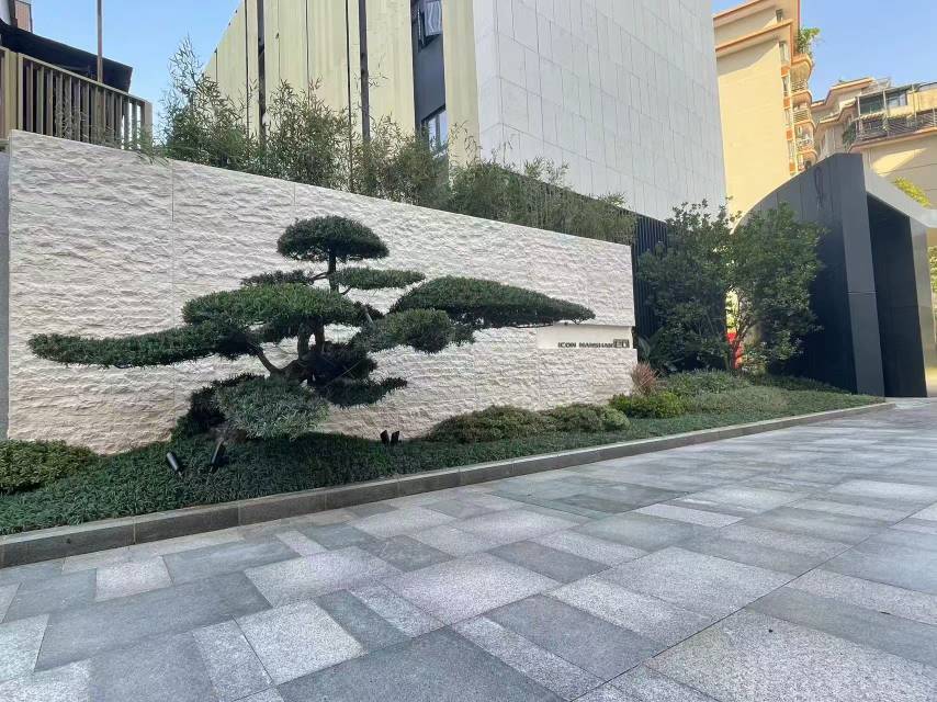 深圳 南山 | 中泰印邸_3