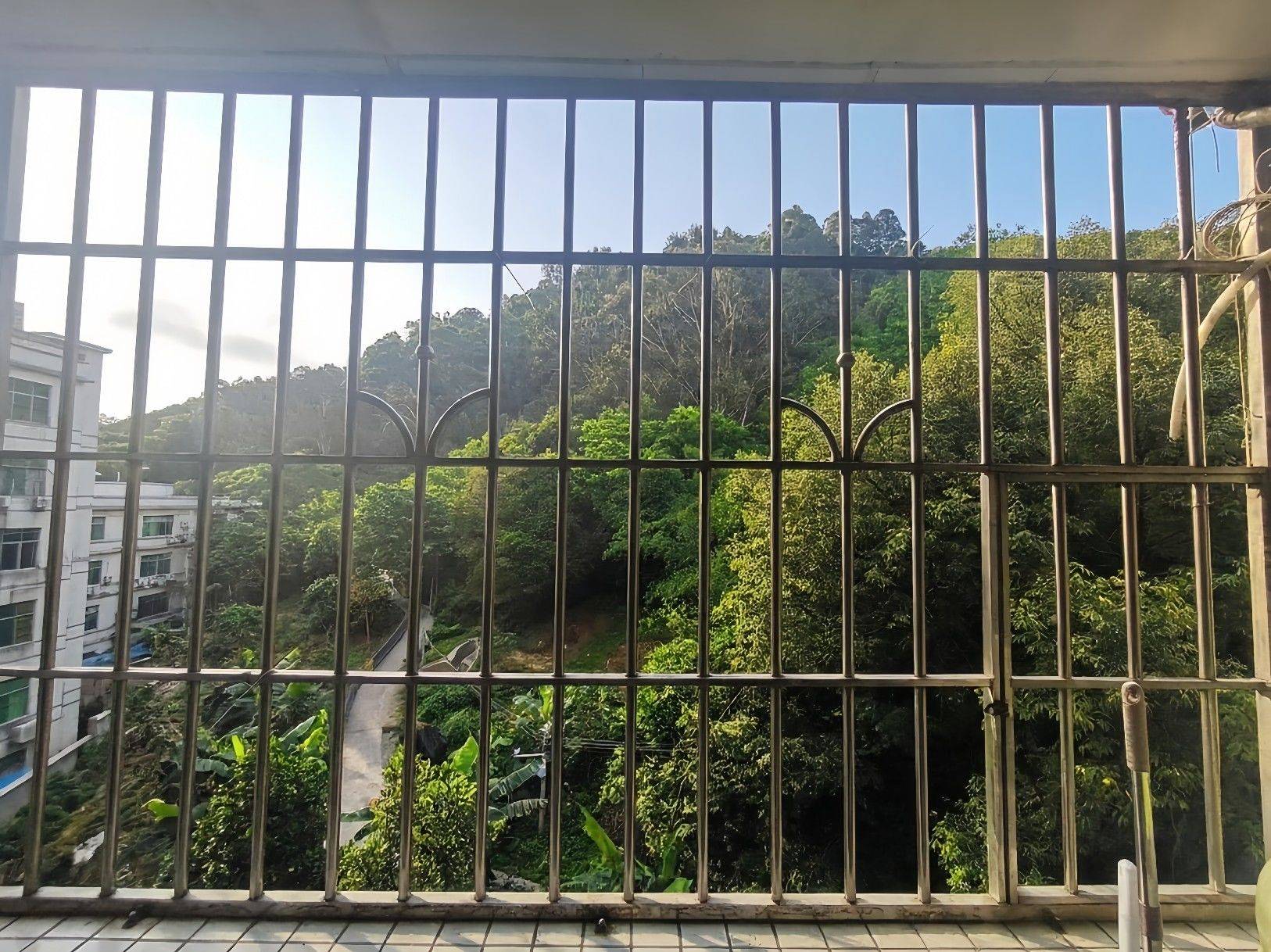 广州 白云 | 鸿运阁_5