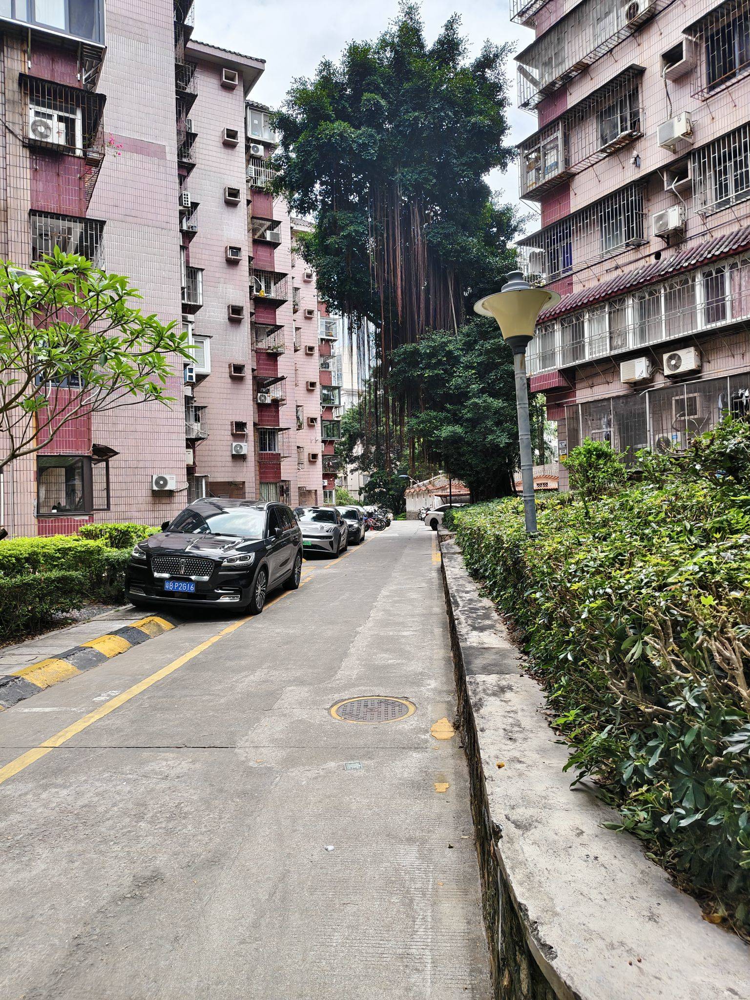 深圳 南山 | 南粤山庄_2