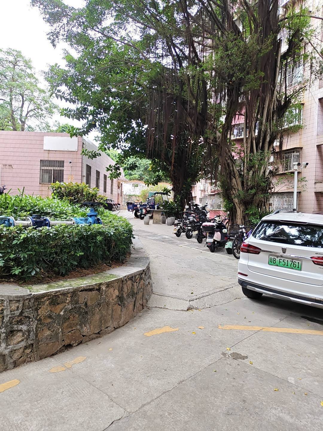 深圳 南山 | 南粤山庄_3