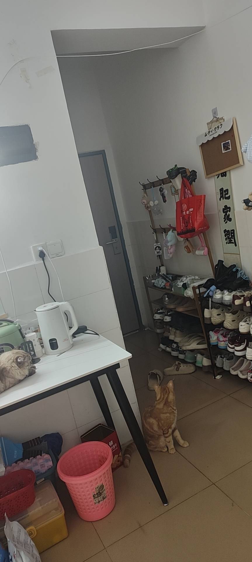 深圳 龙华 | 横岭村二区-34栋_6