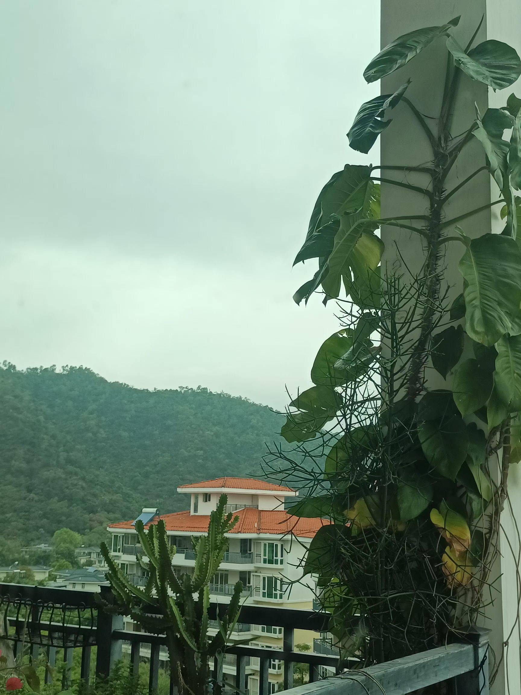 珠海 香洲 | 旭日湾花园_2