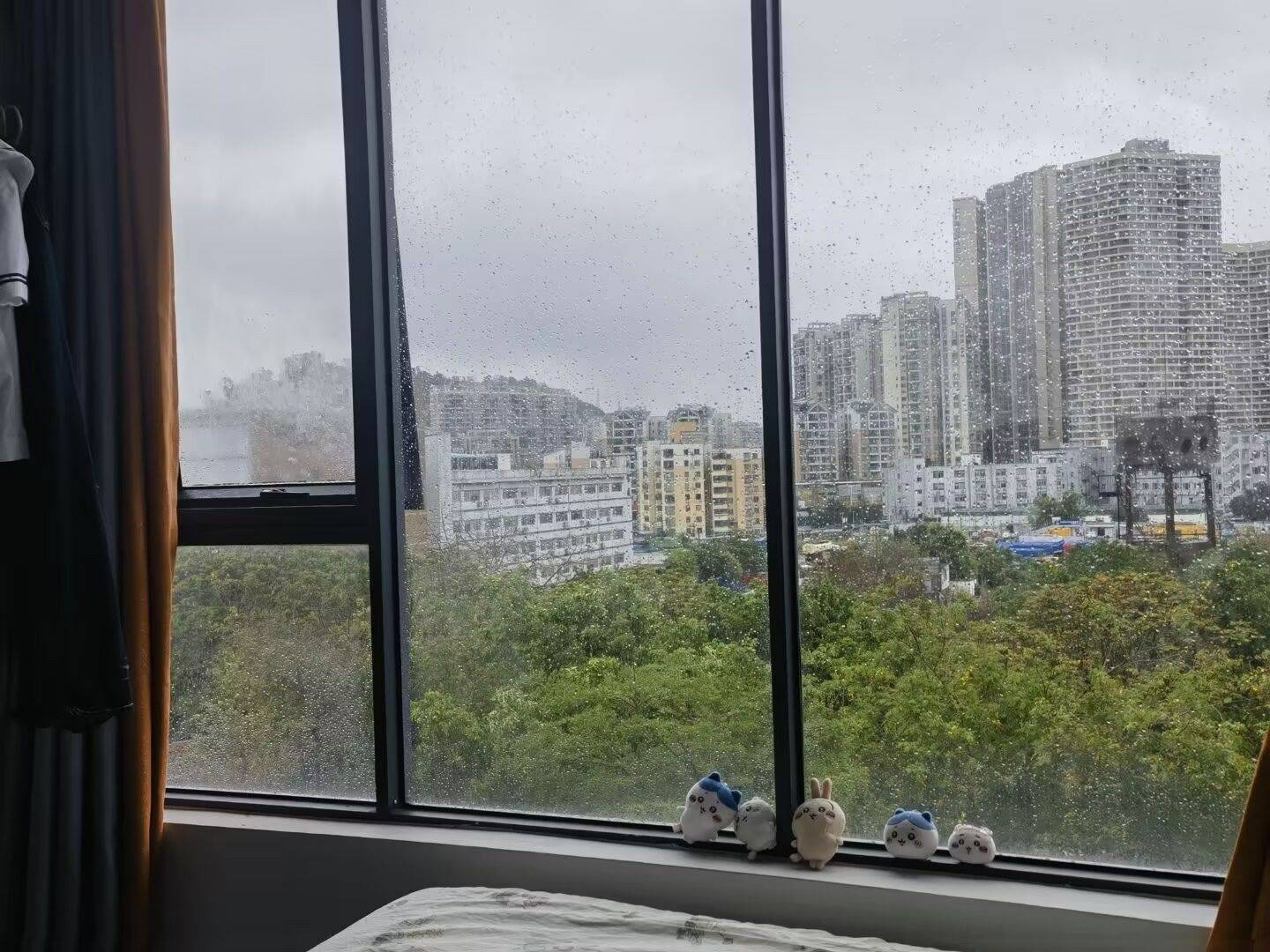 深圳 宝安 | 置诚雅苑(金雅园108栋)_1
