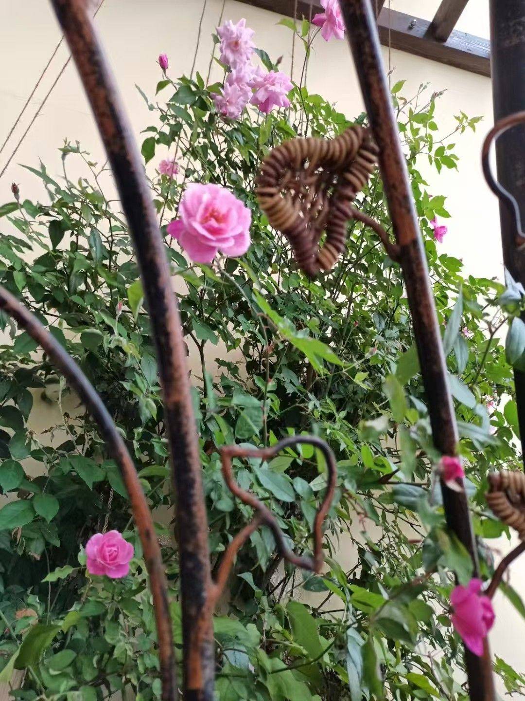 珠海 香洲 | 旭日湾花园_4