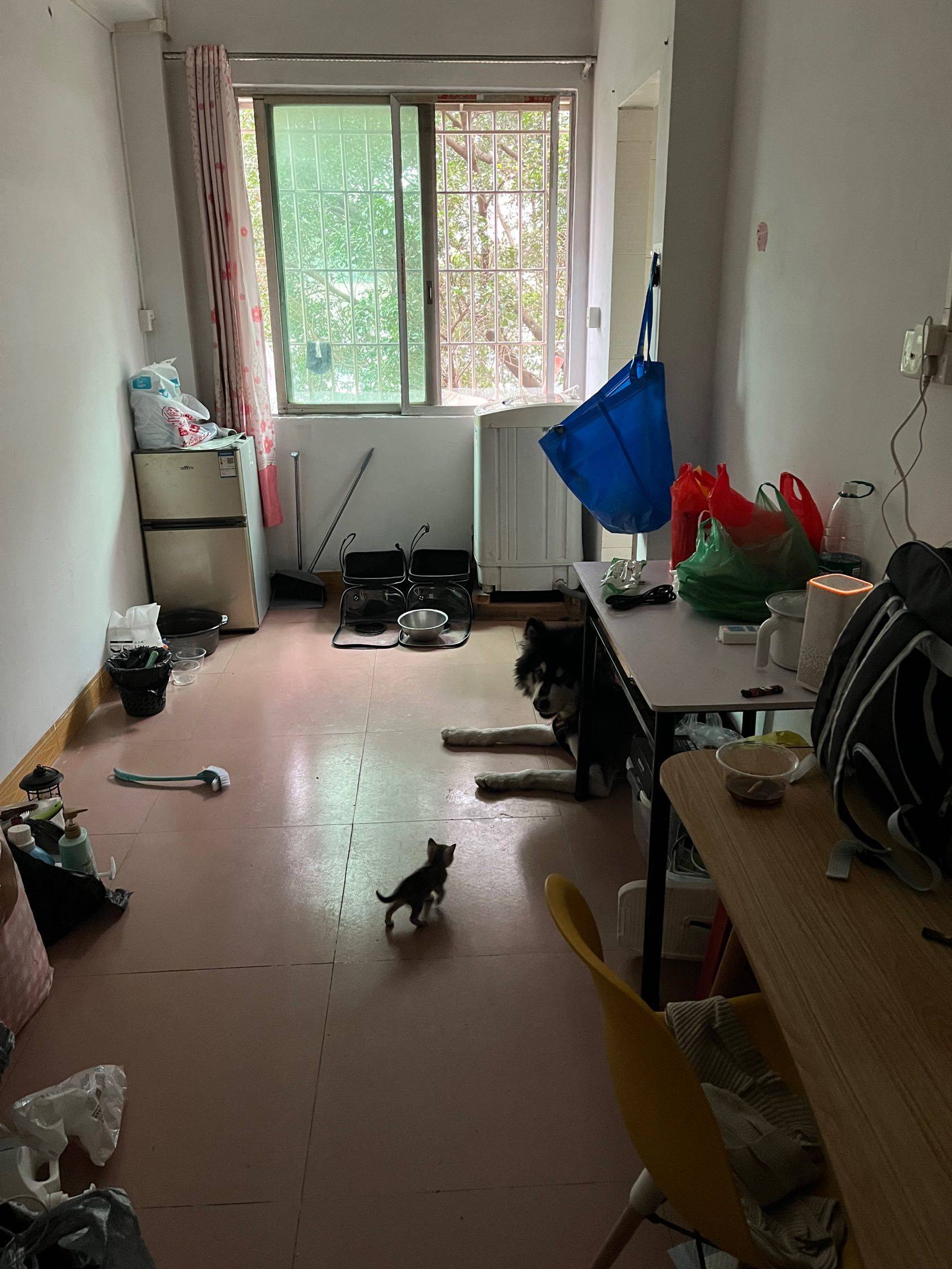 广州 荔湾 | 洪石坊西街南三巷2号_1