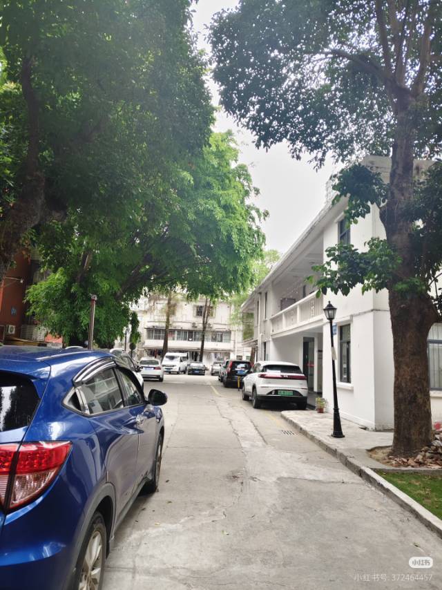 深圳 罗湖 | 深圳市木材有限公司住宅区_6