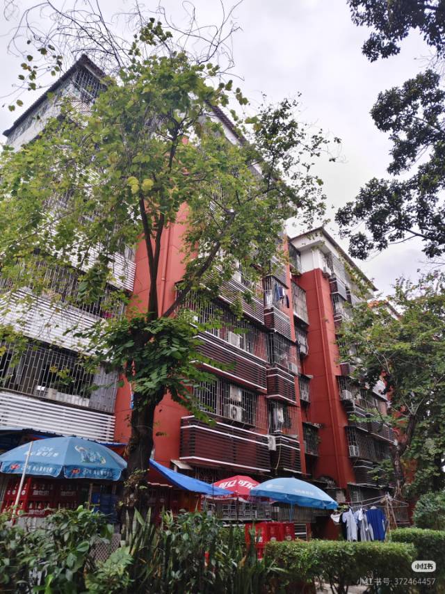 深圳 罗湖 | 深圳市木材有限公司住宅区_5