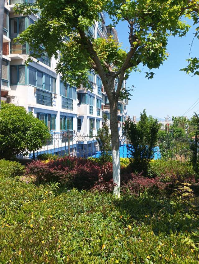 青岛 市北 | 埠西花园_5