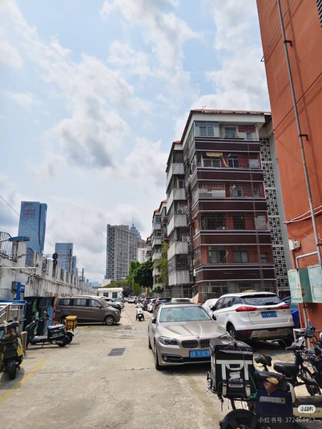 深圳 罗湖 | 深圳市木材有限公司住宅区_4