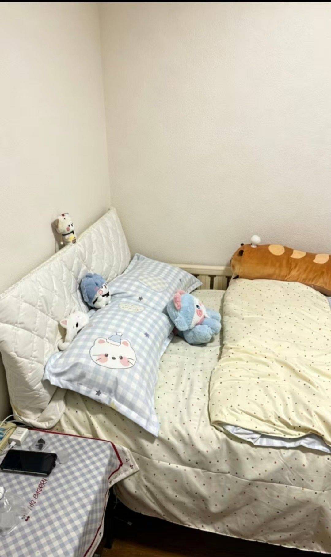 慢慢整租房源3