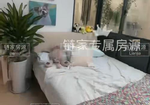 徐汇 申航小区