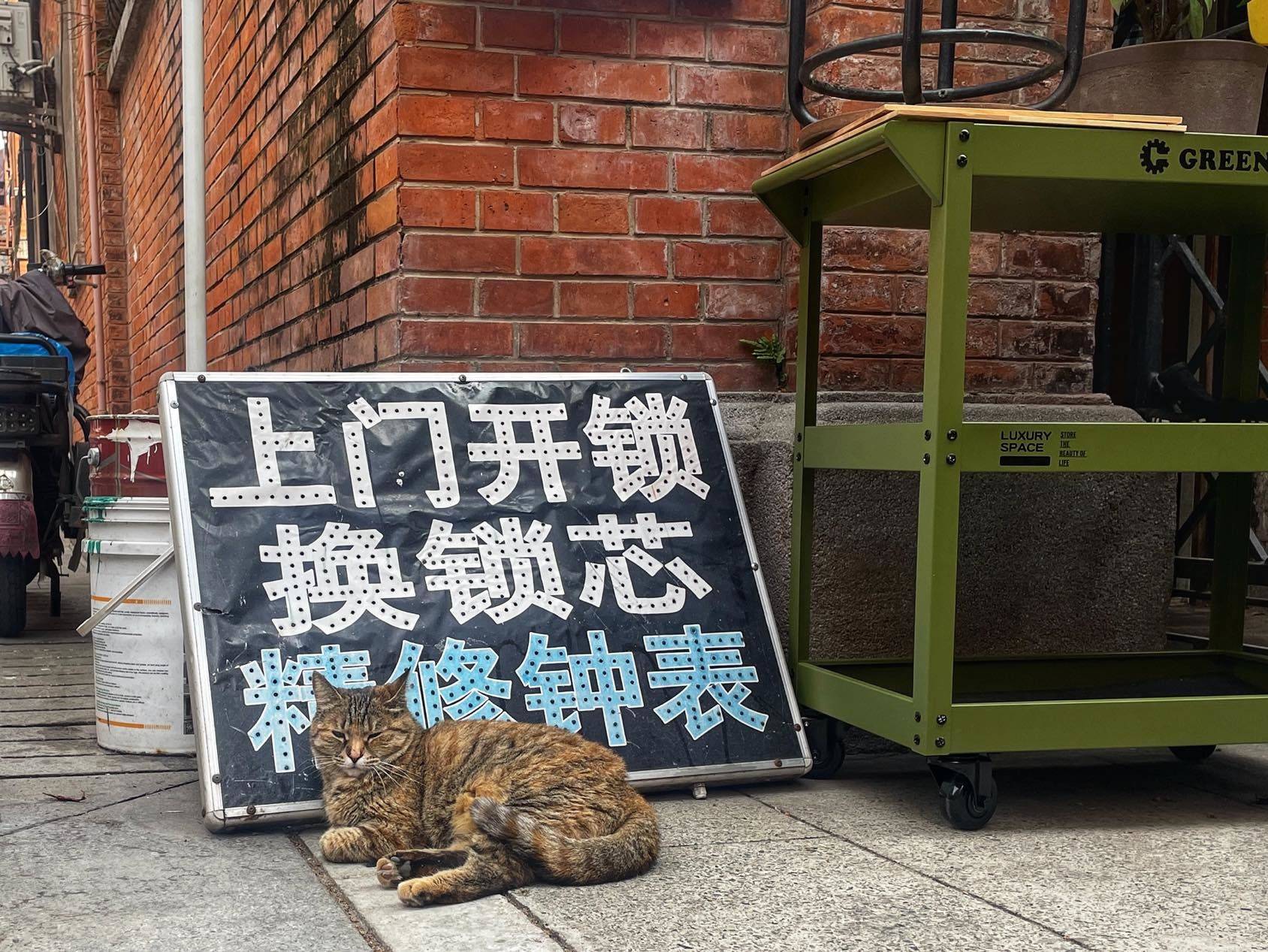 上海 静安 | 静安别墅-45号楼_7